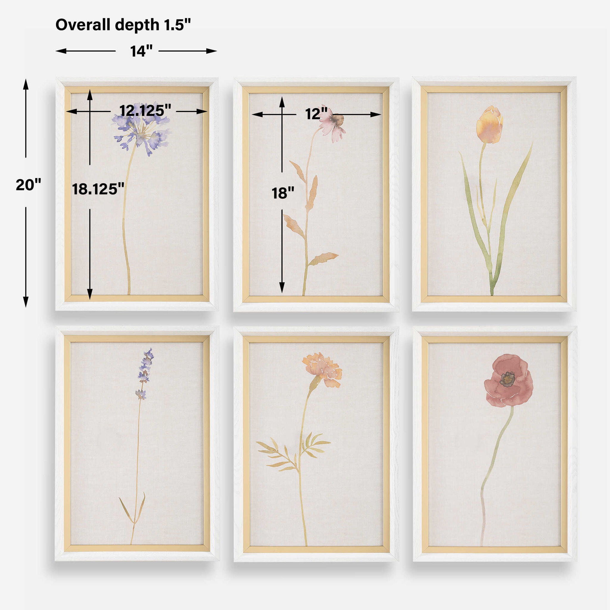Wild Flourish - Framed Floral Prints (Set of 6) - Light Brown