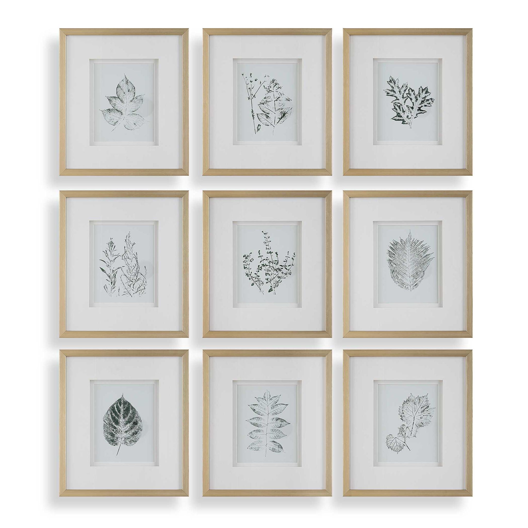 Nature's - Script Framed Botanical Prints (Set of 9) - Gold / Green / White