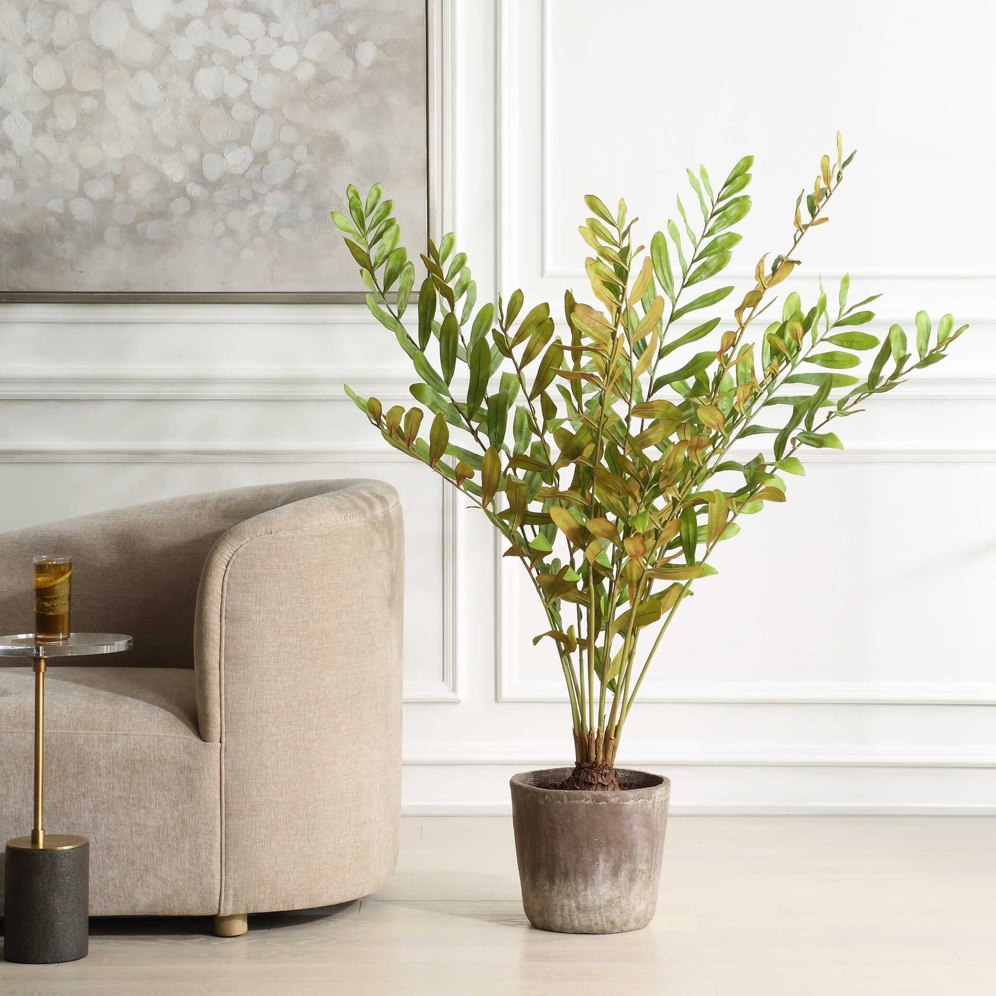 Zamia - Palm Accent In Planter - Green