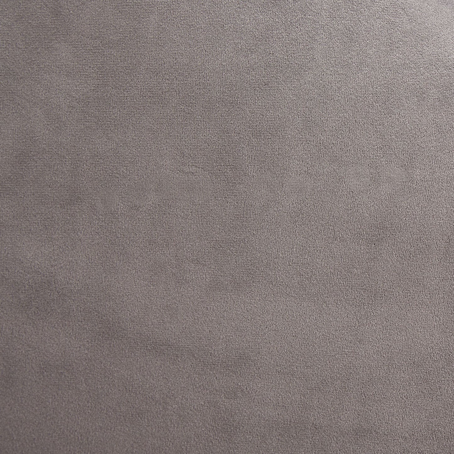 Roxbury Park Velvet Accent Chair - Gray Pearl/Stainless Steel