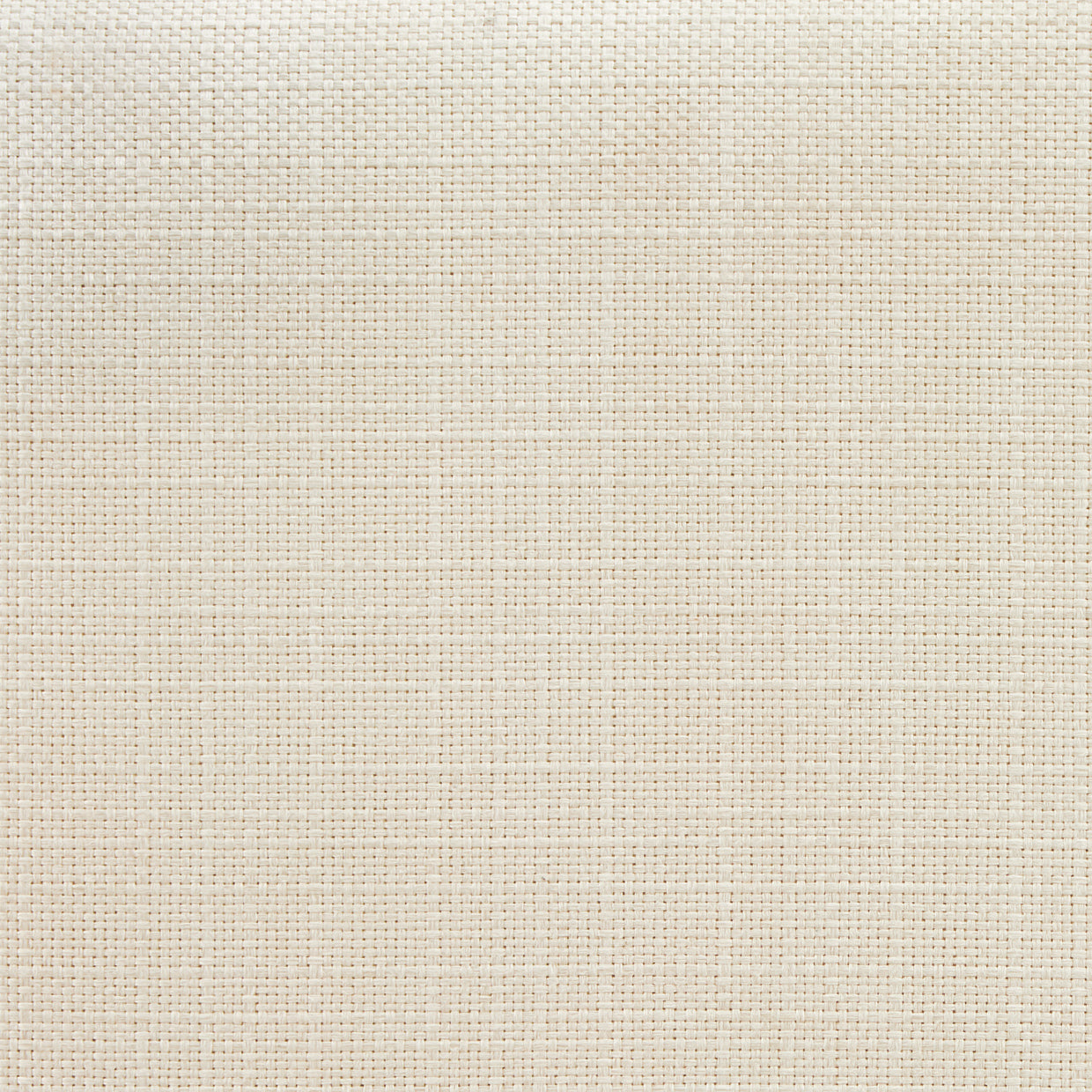 Palm Gate Dining Arm Chair - Cloud White
