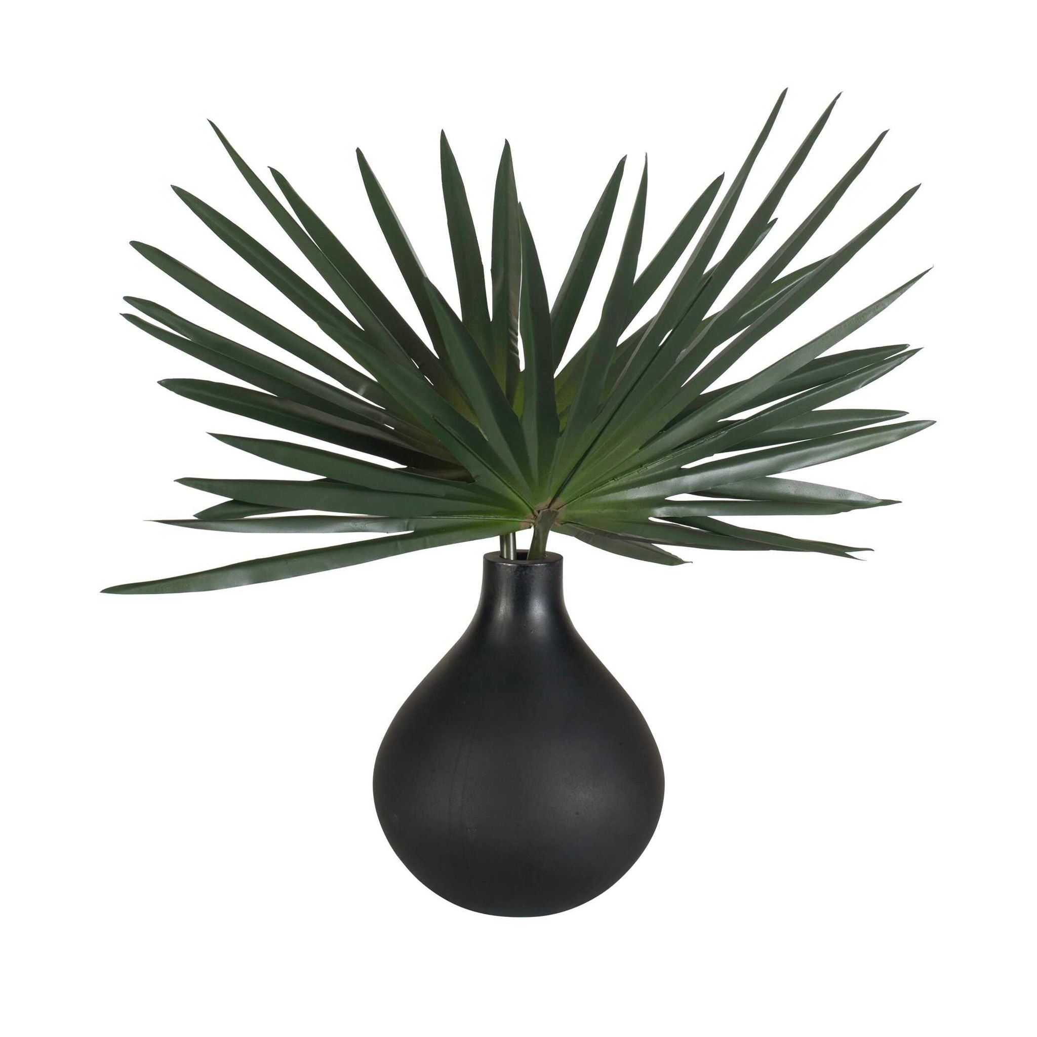Axis Palm - Accent & Vase - Black / Green