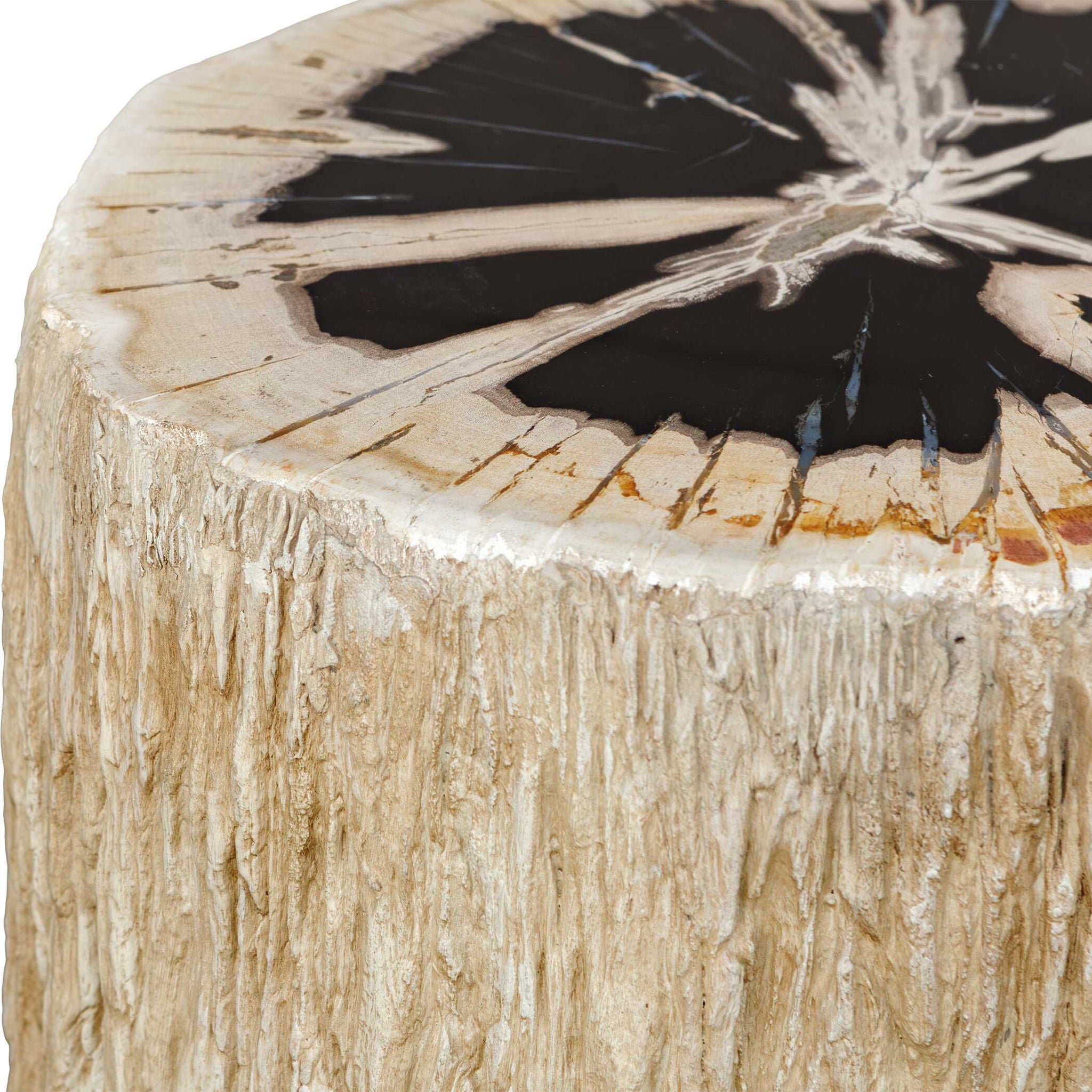 Arco - Petrified Wood Top Accent Table - Black / White