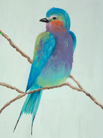 Bellissimo Uccello