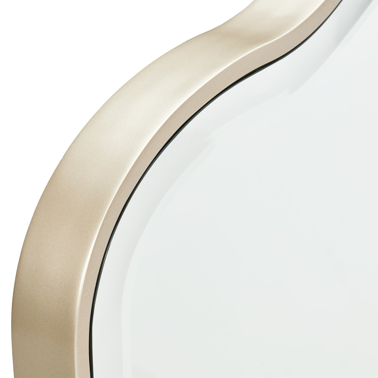 Camellia Field Vanity Mirror - Champagne Gold