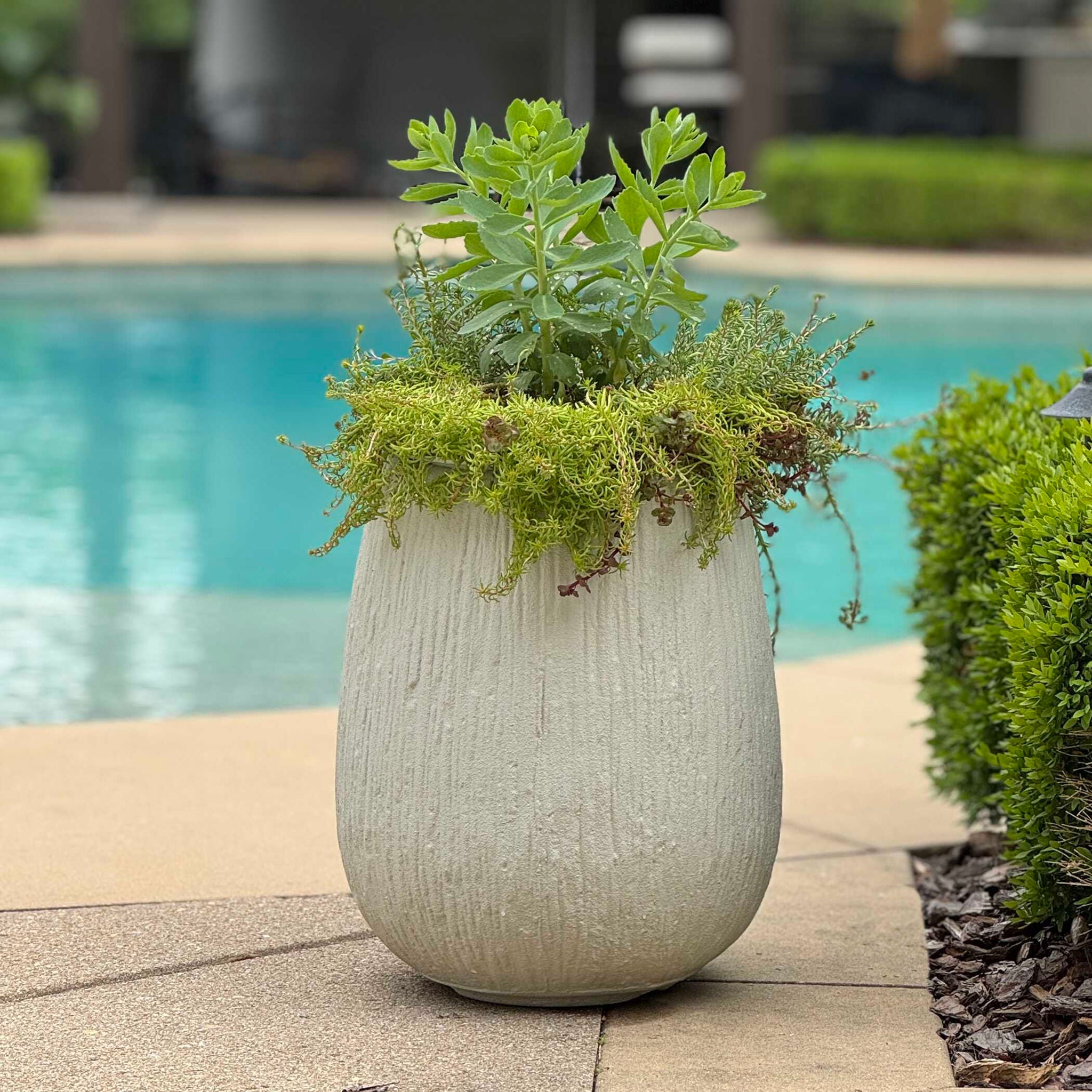 Rustic Ridge - Outdoor Planter - Off-White