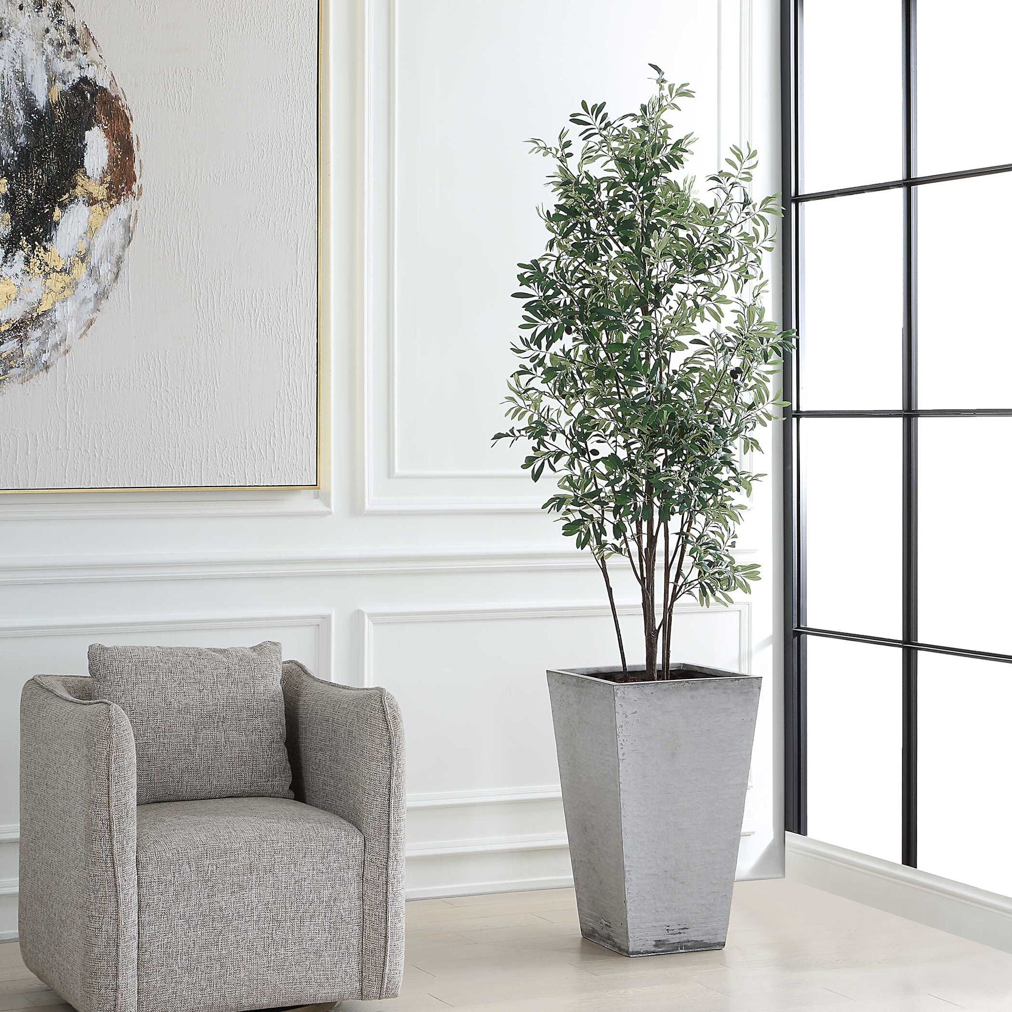 Sonora Olive - Tree In Planter - Gray / Green