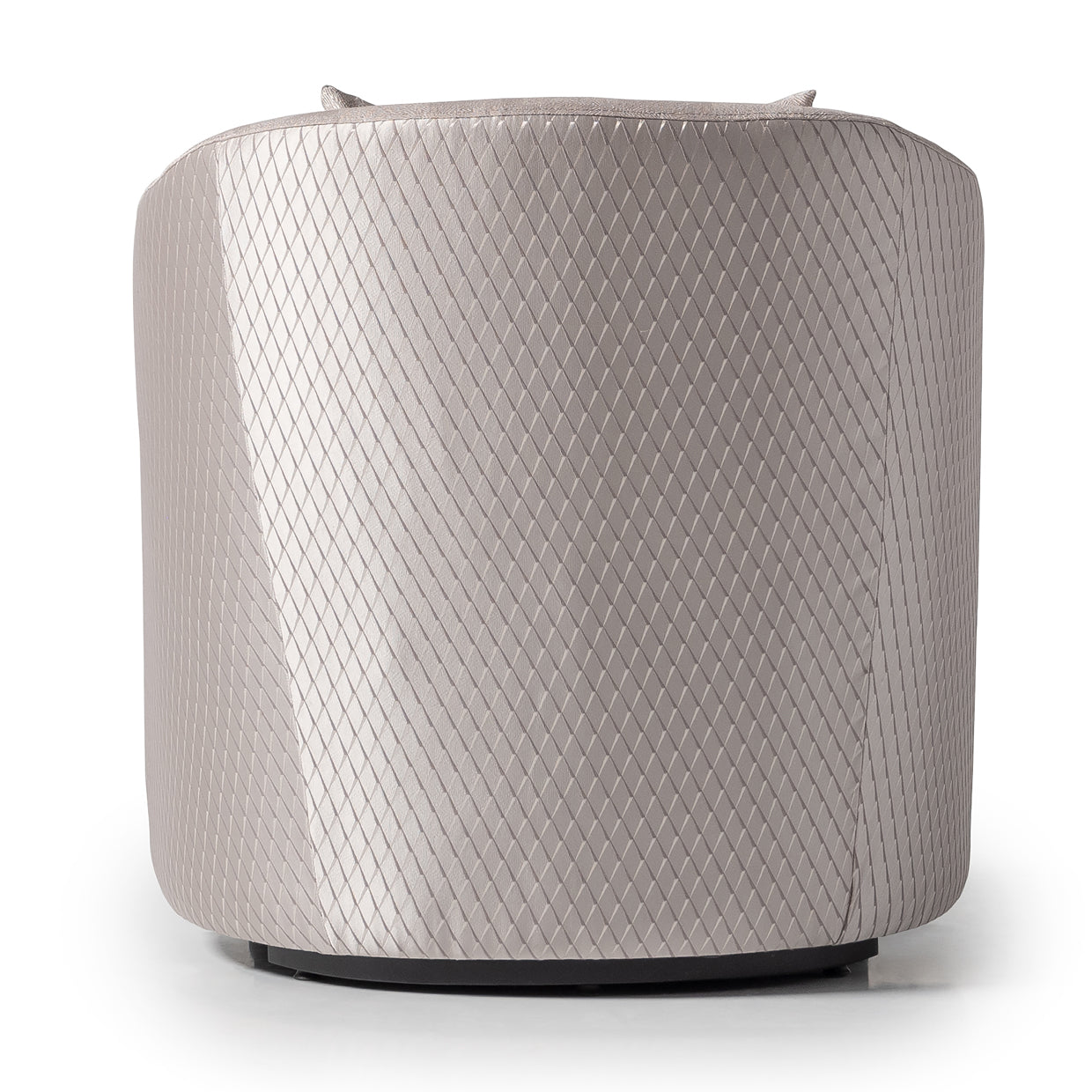 Carmela Accent Chair - Zinc/Silver