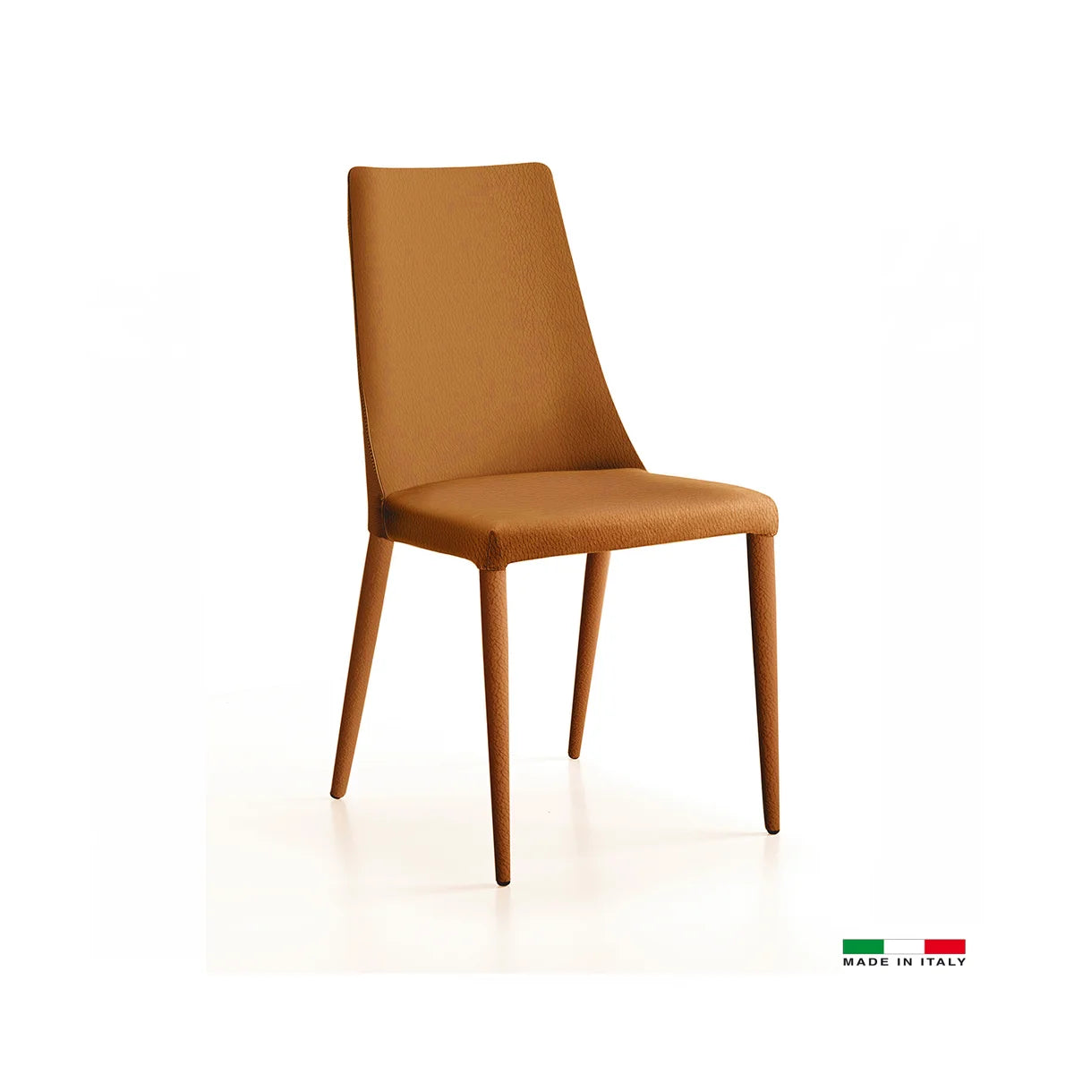 Aloe Dining Chair /4 color