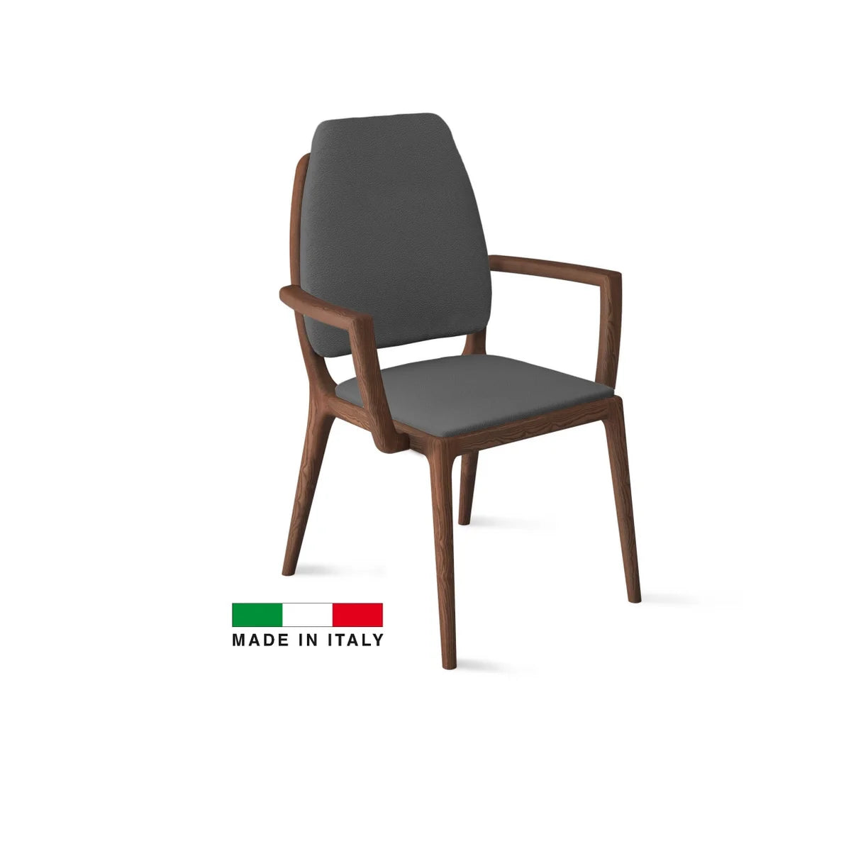 Febe dining Chair/2 color
