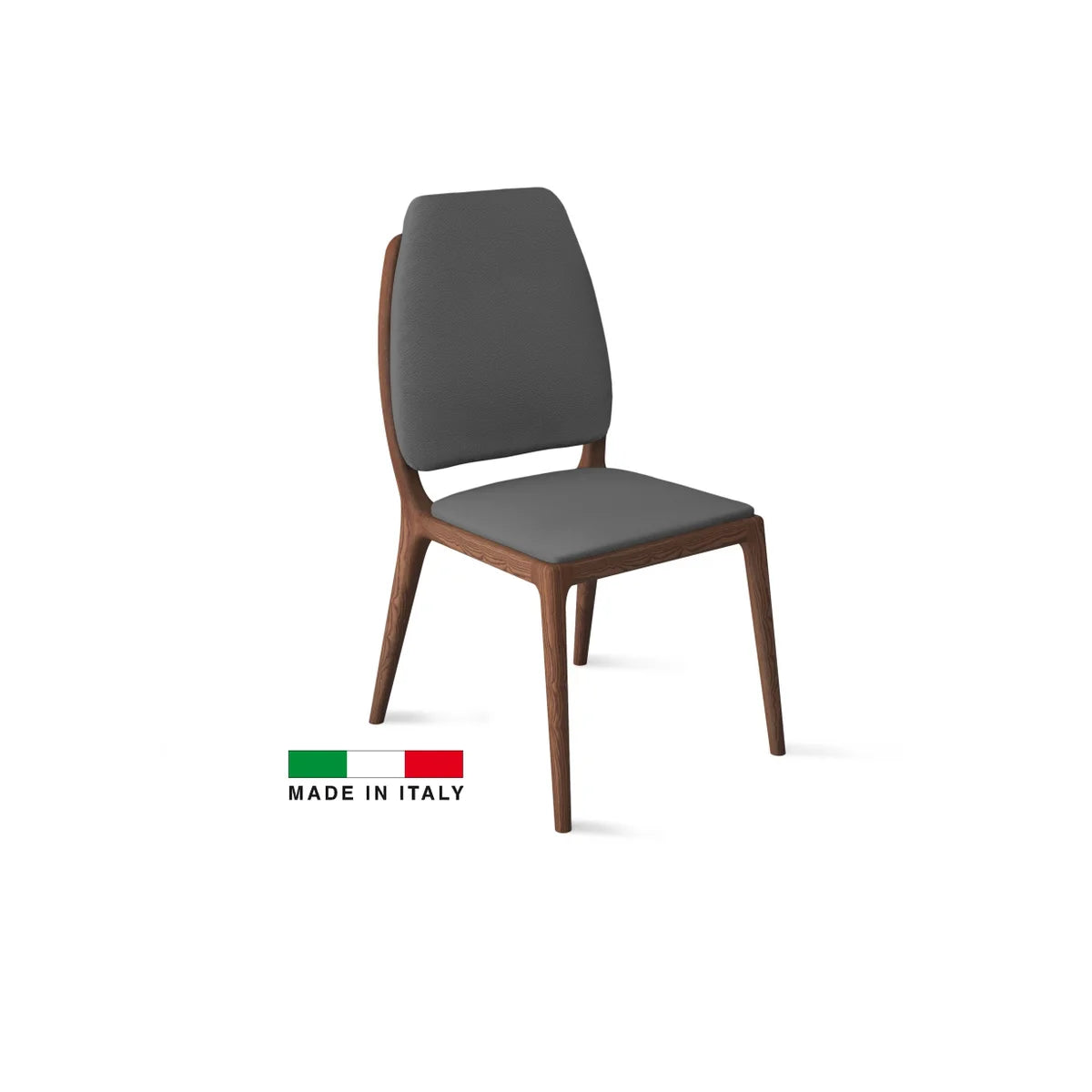 Febe dining Chair/2 color