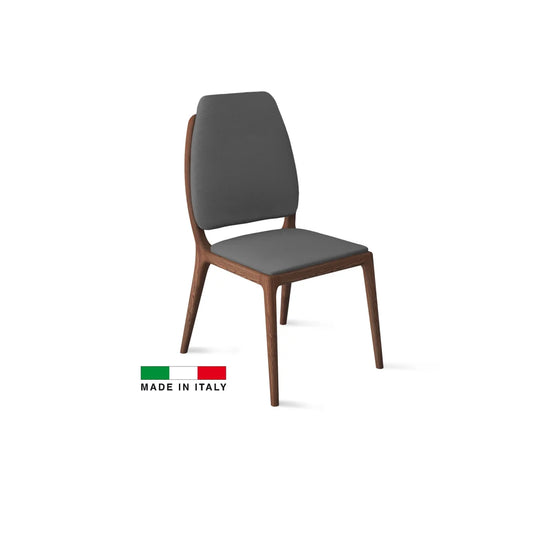 Febe dining Chair/2 color