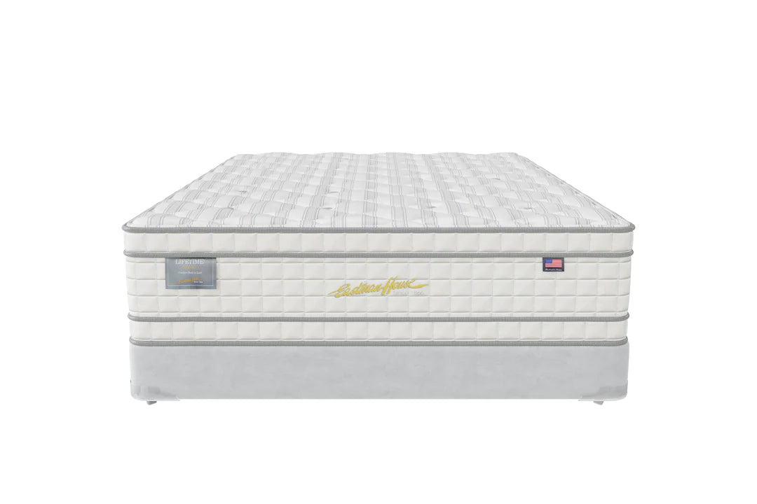 The Medallion Euro Pillow top/20 YW