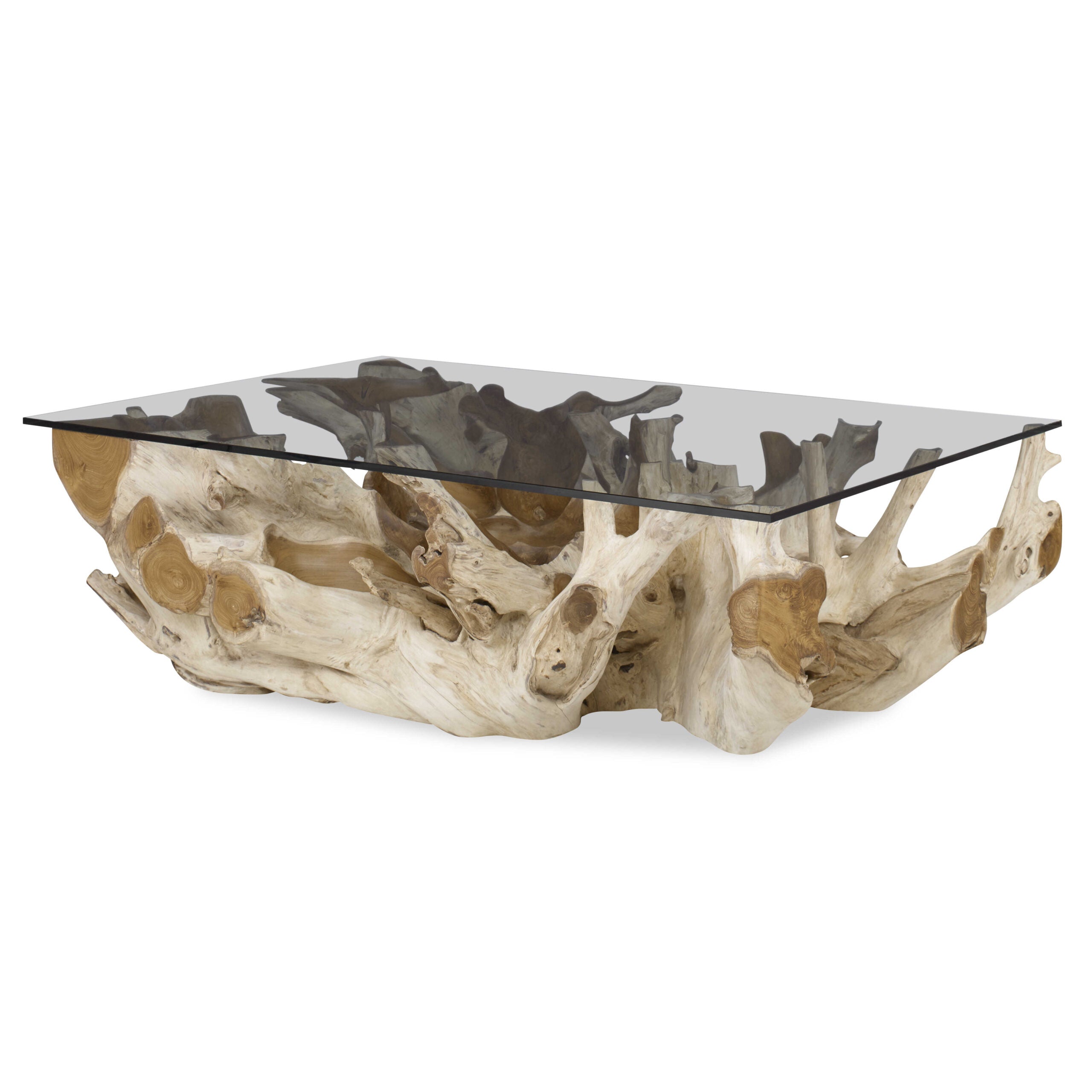 Center Root Coffee Table