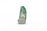 Basil  Outdoor Chair